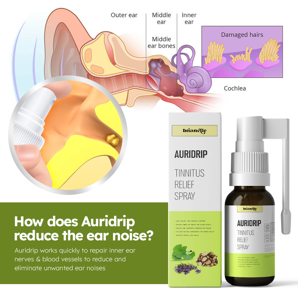 Brianelle™ Auridrip Tinnitus Relief Spray 🔥Hot Item🔥